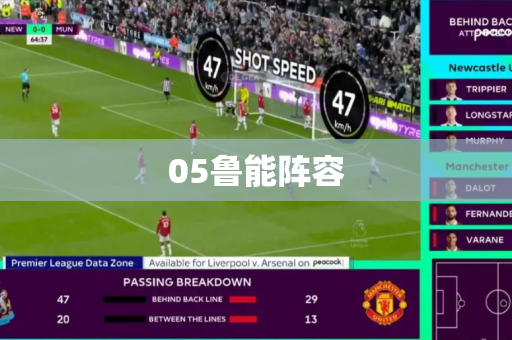 05鲁能阵容 05鲁能阵容