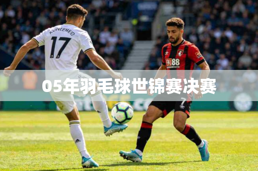 05年羽毛球世锦赛决赛 05年羽毛球世锦赛决赛