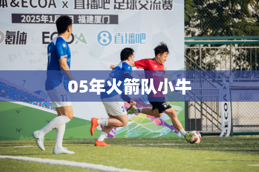 05年火箭队小牛 05年火箭队小牛