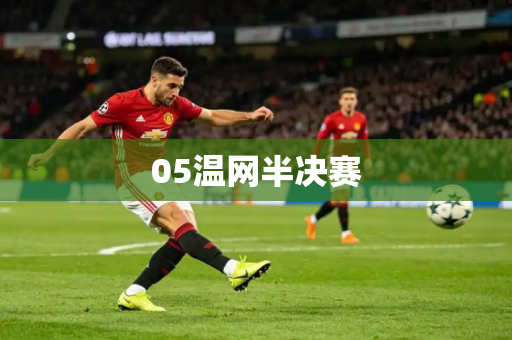 05温网半决赛 05温网半决赛