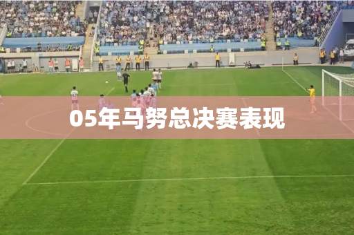 05年马努总决赛表现