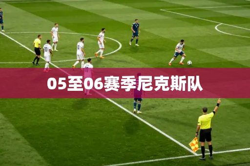 05至06赛季尼克斯队 05至06赛季尼克斯队