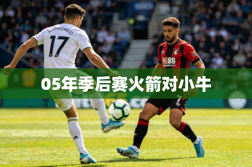 05年季后赛火箭对小牛