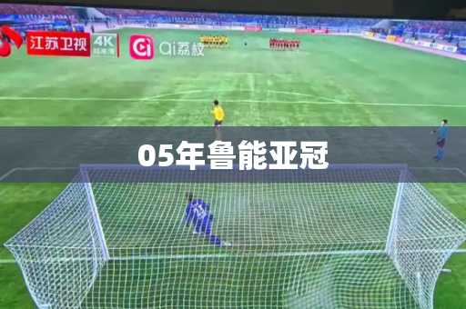 05年鲁能亚冠