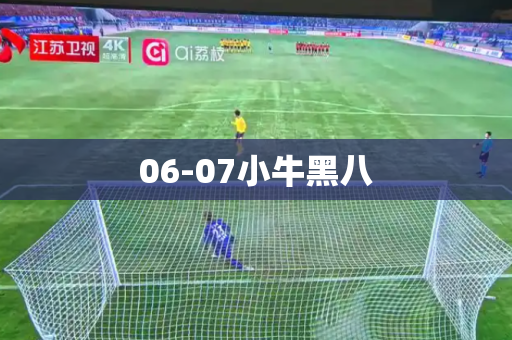 06-07小牛黑八