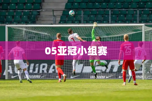 05亚冠小组赛
