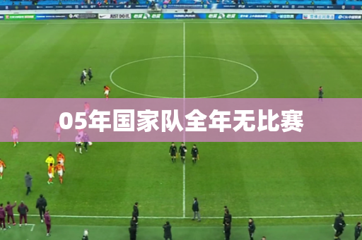 05年国家队全年无比赛