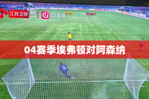 04赛季埃弗顿对阿森纳 04赛季埃弗顿对阿森纳