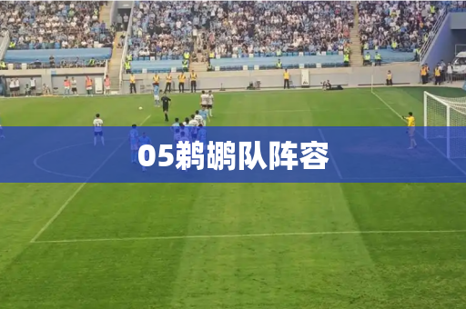 05鹈鹕队阵容 05鹈鹕队阵容