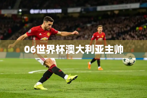 06世界杯澳大利亚主帅