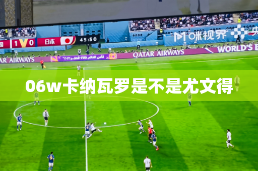 06w卡纳瓦罗是不是尤文得 06w卡纳瓦罗是不是尤文得
