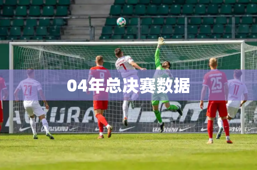 04年总决赛数据