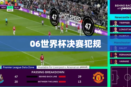 06世界杯决赛犯规