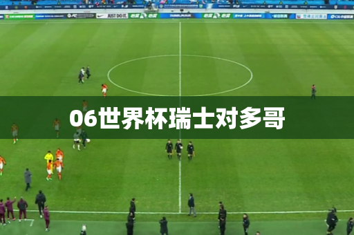 06世界杯瑞士对多哥