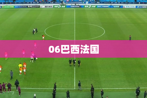 06巴西法国 06巴西法国