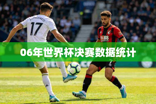 06年世界杯决赛数据统计
