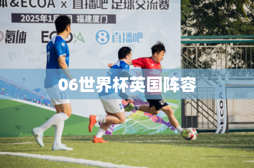 06世界杯英国阵容