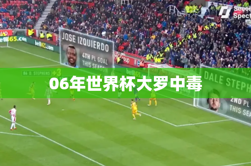 06年世界杯大罗中毒