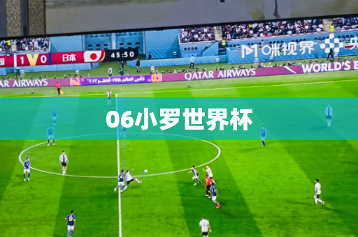 06小罗世界杯