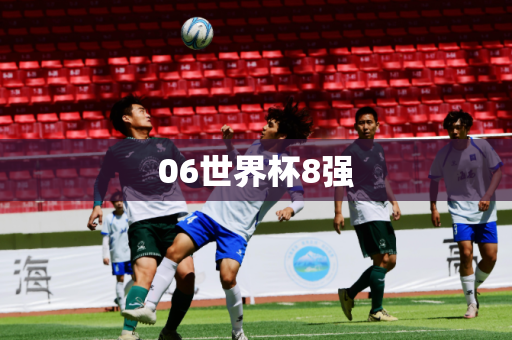06世界杯8强