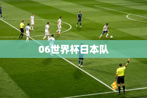 06世界杯日本队
