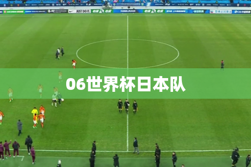 06世界杯日本队
