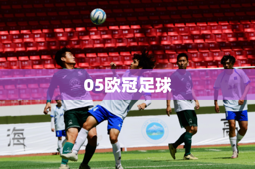 05欧冠足球