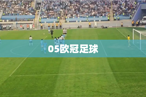 05欧冠足球