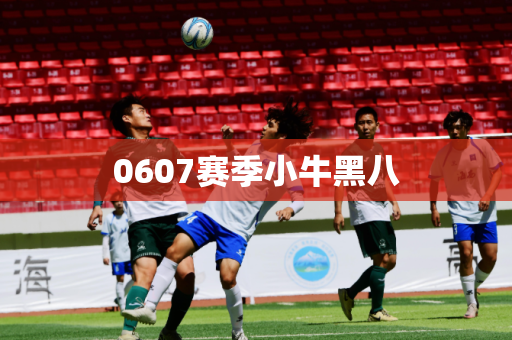 0607赛季小牛黑八 0607赛季小牛黑八