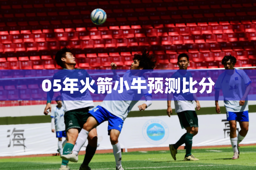 05年火箭小牛预测比分 05年火箭小牛预测比分