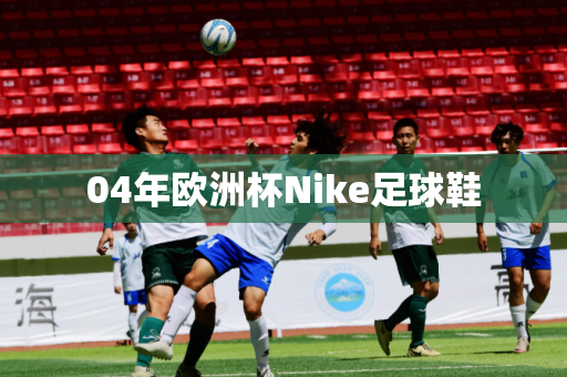 04年欧洲杯Nike足球鞋 04年欧洲杯Nike足球鞋
