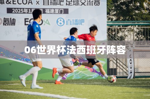 06世界杯法西班牙阵容 06世界杯法西班牙阵容