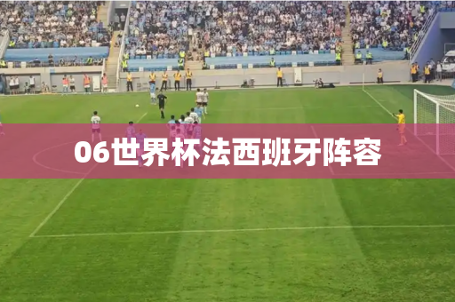 06世界杯法西班牙阵容