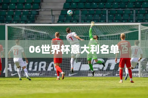 06世界杯意大利名单