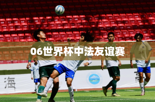 06世界杯中法友谊赛 06世界杯中法友谊赛