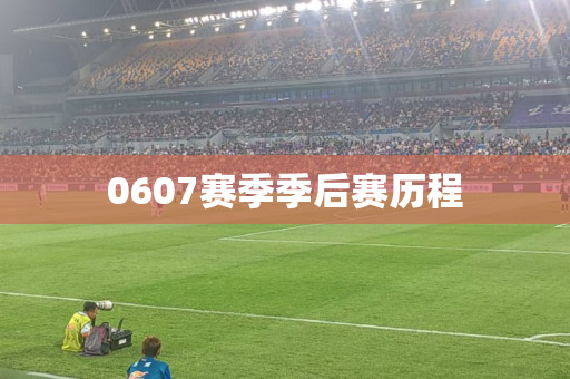 0607赛季季后赛历程