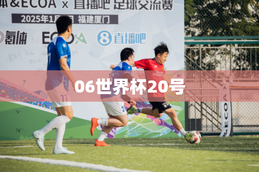 06世界杯20号 06世界杯20号
