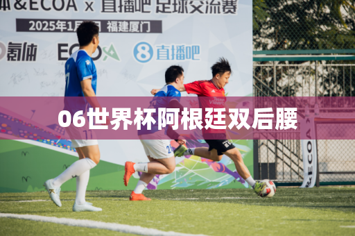 06世界杯阿根廷双后腰