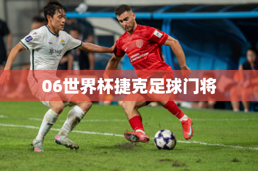 06世界杯捷克足球门将
