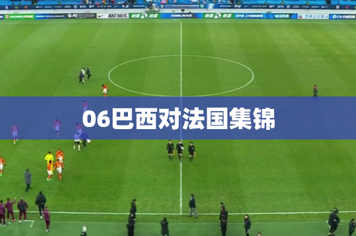 06巴西对法国集锦