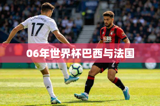 06年世界杯巴西与法国