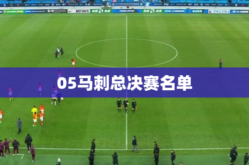 05马刺总决赛名单 05马刺总决赛名单