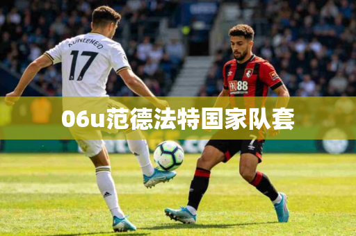 06u范德法特国家队套 06u范德法特国家队套