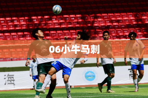 06小牛马刺 06小牛马刺