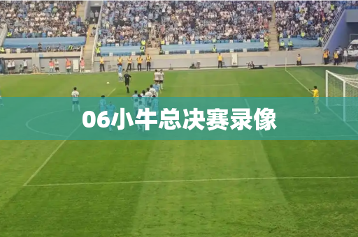 06小牛总决赛录像 06小牛总决赛录像