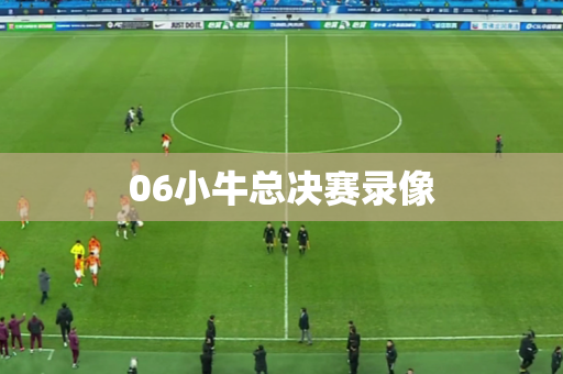 06小牛总决赛录像