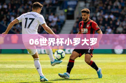 06世界杯小罗大罗