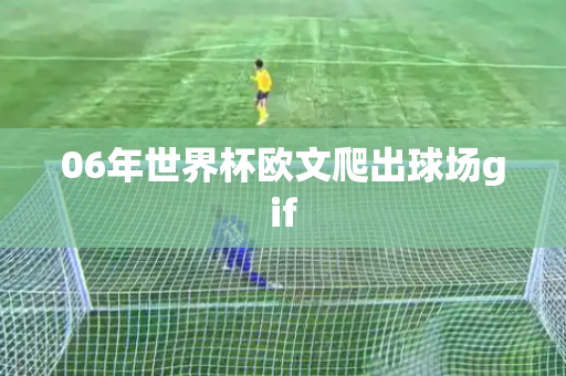 06年世界杯欧文爬出球场gif