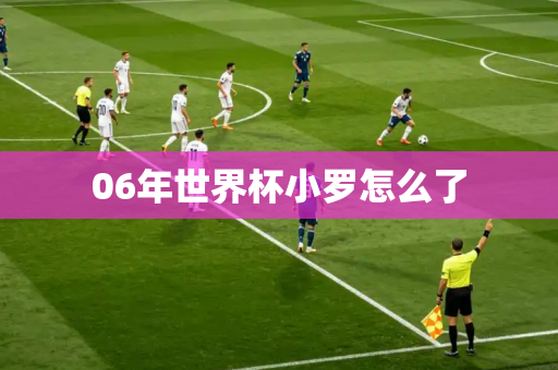 06年世界杯小罗怎么了 06年世界杯小罗怎么了