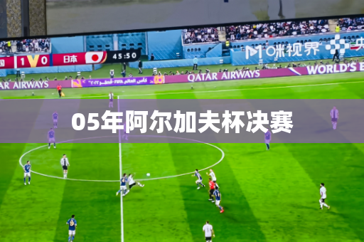 05年阿尔加夫杯决赛 05年阿尔加夫杯决赛